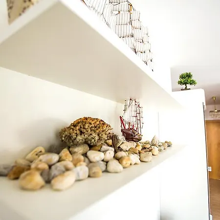 Apartament Shell *