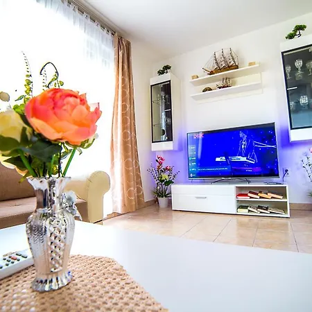 Shell Apartament