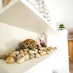 Apartment Shell *